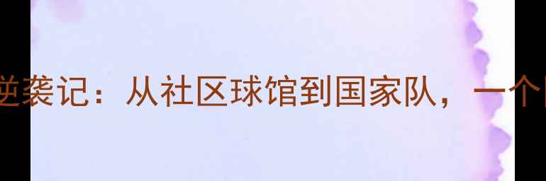 图片 乒乓球草根逆袭记：从社区球馆到国家队，一个国手的自述2