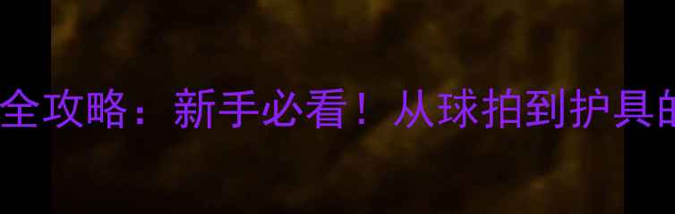 图片 乒乓球装备全攻略：新手必看！从球拍到护具的选购指南2