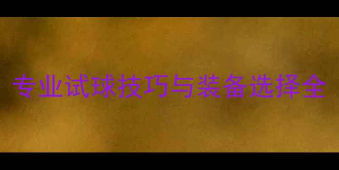 图片 乒乓球赛事备战指南：专业试球技巧与装备选择全（附国家队训练方案）