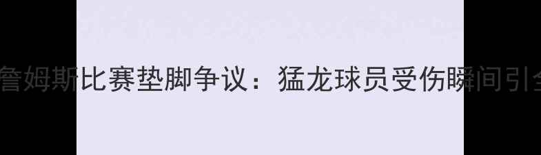 图片 事件回顾詹姆斯比赛垫脚争议：猛龙球员受伤瞬间引全网热议1