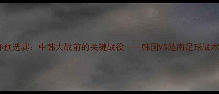 图片 亚洲杯预选赛：中韩大战前的关键战役——韩国VS越南足球战术深度1