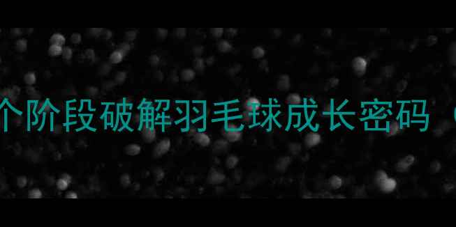 图片 从零基础到国手：8个阶段破解羽毛球成长密码（附科学训练方案）2