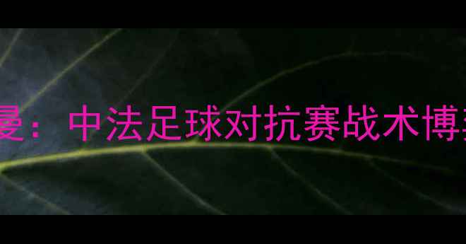 图片 伊维恩vs日尔曼：中法足球对抗赛战术博弈与历史传承2