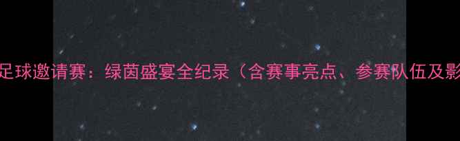 图片 佛山国际足球邀请赛：绿茵盛宴全纪录（含赛事亮点、参赛队伍及影响分析）