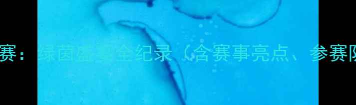 图片 佛山国际足球邀请赛：绿茵盛宴全纪录（含赛事亮点、参赛队伍及影响分析）2