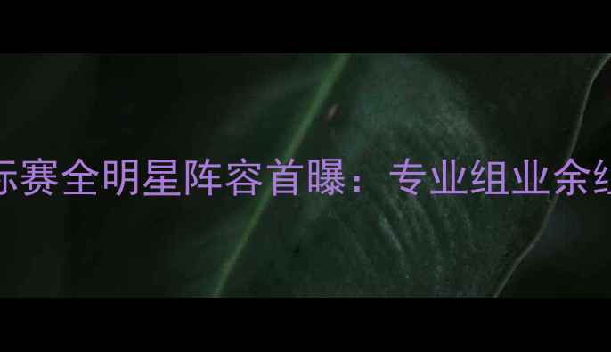 图片 全国体育舞蹈锦标赛全明星阵容首曝：专业组业余组双赛道开启报名