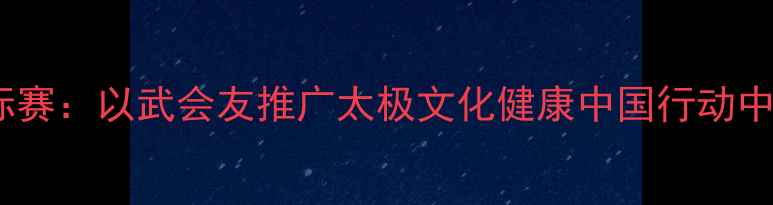 图片 全国太极拳锦标赛：以武会友推广太极文化健康中国行动中的体育新篇章1