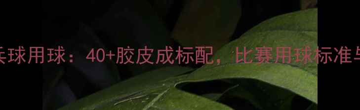 图片 全运会乒乓球用球：40+胶皮成标配，比赛用球标准与选购指南