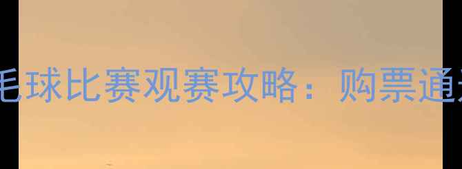 图片 全运会男单羽毛球比赛观赛攻略：购票通道+赛事亮点全