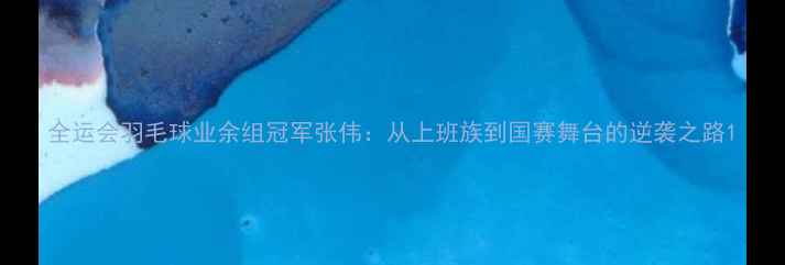 图片 全运会羽毛球业余组冠军张伟：从上班族到国赛舞台的逆袭之路1