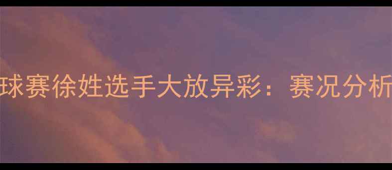 图片 全运会羽毛球赛徐姓选手大放异彩：赛况分析及未来展望