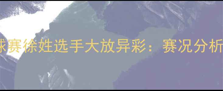 图片 全运会羽毛球赛徐姓选手大放异彩：赛况分析及未来展望2