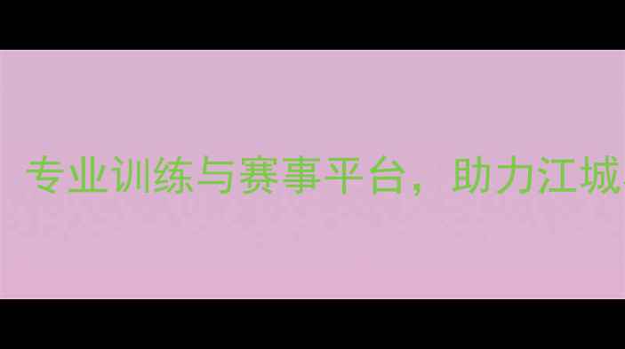 图片 冠羽羽毛球武汉：专业训练与赛事平台，助力江城羽球爱好者成长1