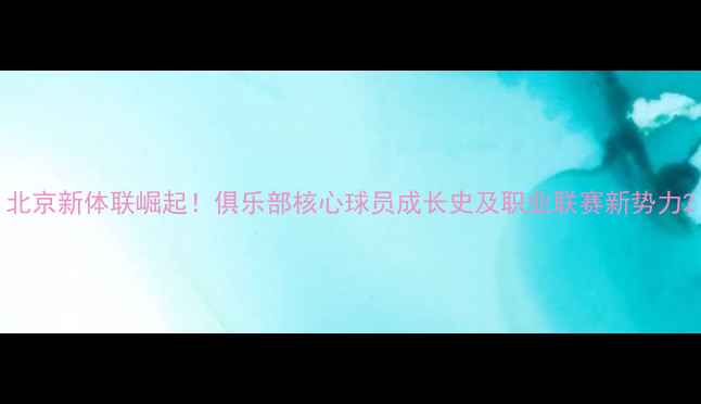 图片 北京新体联崛起！俱乐部核心球员成长史及职业联赛新势力2