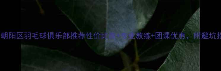 图片 北京朝阳区羽毛球俱乐部推荐性价比高+专业教练+团课优惠，附避坑指南2