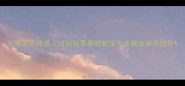 图片 北京羽毛球成人培训班零基础教学专业教练体质提升1