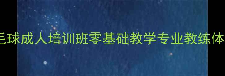 图片 北京羽毛球成人培训班零基础教学专业教练体质提升2