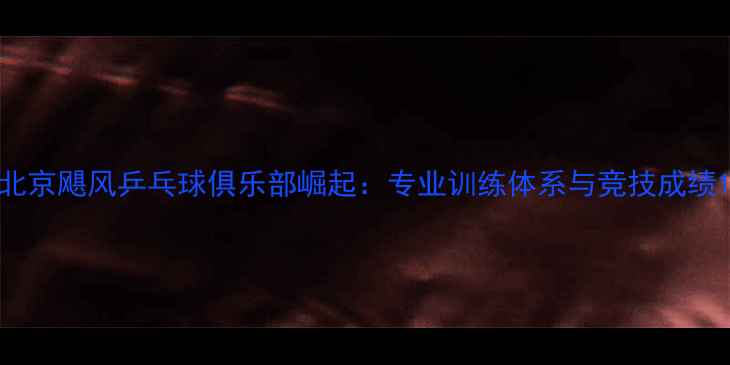 图片 北京飓风乒乓球俱乐部崛起：专业训练体系与竞技成绩1