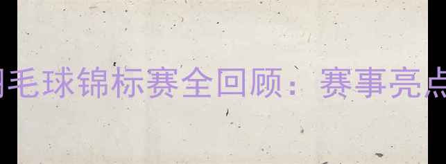 图片 华人杯羽毛球锦标赛全回顾：赛事亮点与技术1