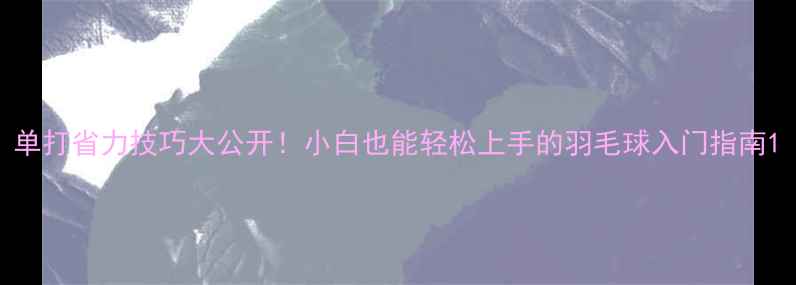 图片 单打省力技巧大公开！小白也能轻松上手的羽毛球入门指南1