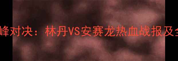 图片 南京羽毛球双雄会巅峰对决：林丹VS安赛龙热血战报及全民观赛狂欢全记录2