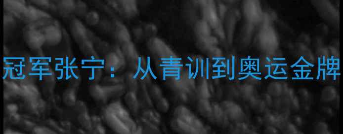 图片 南京羽毛球女单冠军张宁：从青训到奥运金牌的十年磨剑之路