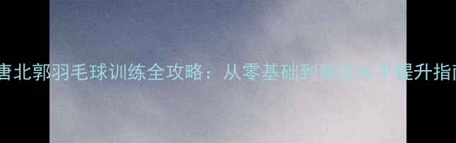 图片 南唐北郭羽毛球训练全攻略：从零基础到竞技水平提升指南2