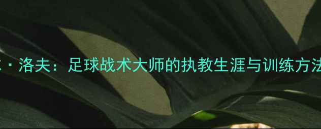 图片 卡尔·洛夫：足球战术大师的执教生涯与训练方法全1