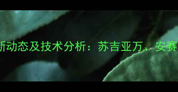 图片 印尼羽毛球男单选手最新动态及技术分析：苏吉亚万、安赛龙、金基正的崛起之路2