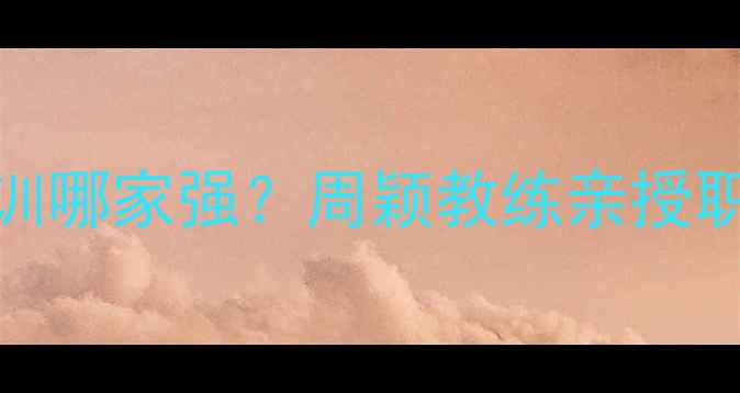 图片 嘉兴羽毛球培训哪家强？周颖教练亲授职业级训练体系