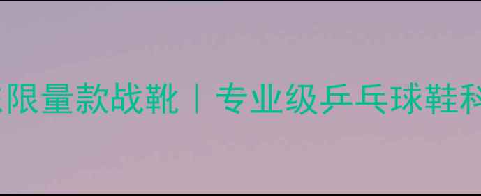图片 国乒冠军樊振东限量款战靴｜专业级乒乓球鞋科技与实战测评1