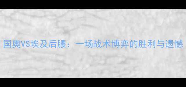 图片 国奥VS埃及后腰：一场战术博弈的胜利与遗憾