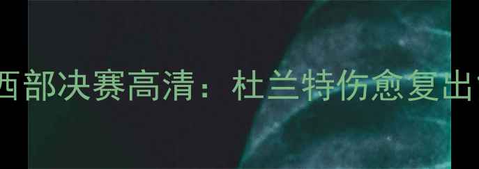图片 国王队vs太阳队西部决赛高清：杜兰特伤愈复出能否改写历史？2