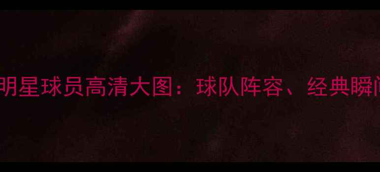 图片 国王队赛季全明星球员高清大图：球队阵容、经典瞬间与传奇故事2