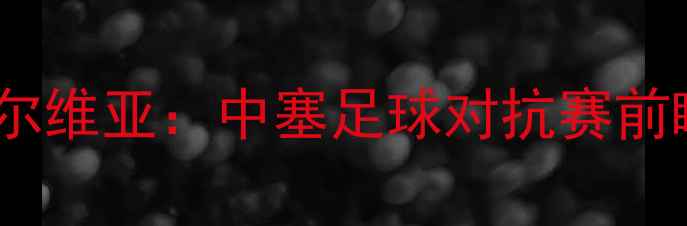 图片 国足VS塞尔维亚：中塞足球对抗赛前瞻与深度2