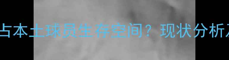 图片 国足归化球员挤占本土球员生存空间？现状分析及未来影响探讨2