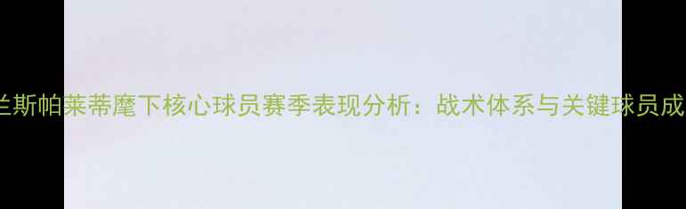 图片 国际米兰斯帕莱蒂麾下核心球员赛季表现分析：战术体系与关键球员成长报告1