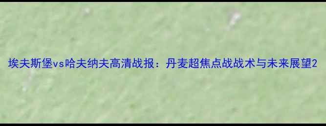 图片 埃夫斯堡vs哈夫纳夫高清战报：丹麦超焦点战战术与未来展望2