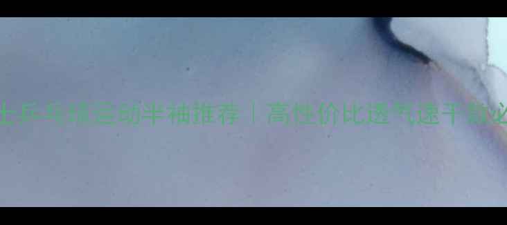 图片 夏季男士乒乓球运动半袖推荐｜高性价比透气速干款必备清单