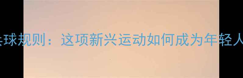 图片 外套乒乓球规则：这项新兴运动如何成为年轻人新宠？1