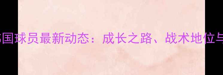 图片 多特蒙德韩国球员最新动态：成长之路、战术地位与未来展望1