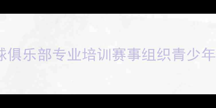 图片 大丰市乒乓球俱乐部专业培训赛事组织青少年培养全攻略1