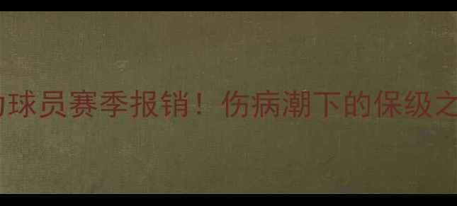 图片 大连一方三主力球员赛季报销！伤病潮下的保级之路与重建挑战2