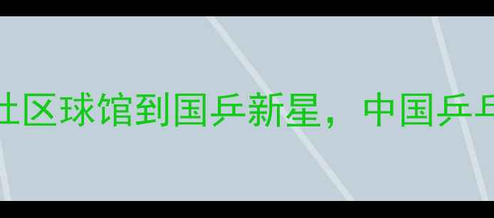 图片 天津小将刘杨：从社区球馆到国乒新星，中国乒乓球队新锐崛起之路