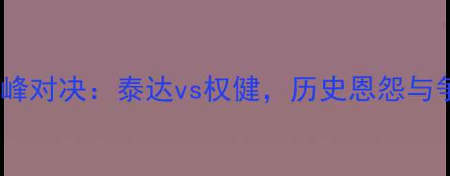 图片 天津德比巅峰对决：泰达vs权健，历史恩怨与争冠悬念全1