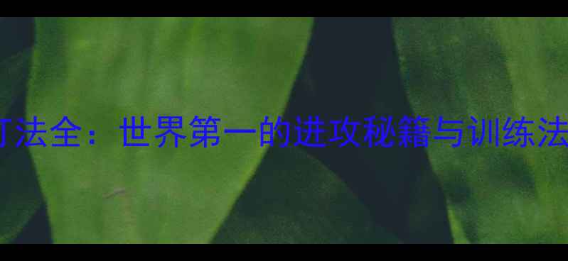 图片 奥原希望羽毛球打法全：世界第一的进攻秘籍与训练法则｜附装备清单2