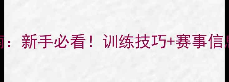 图片 宁波羽毛球入门指南：新手必看！训练技巧+赛事信息+装备推荐全攻略2