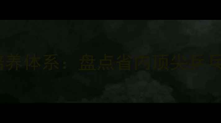 图片 安徽乒乓球高校排名及培养体系：盘点省内顶尖乒乓球队校及升学就业指南1