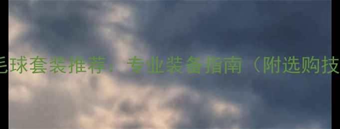 图片 尤尼克斯羽毛球套装推荐：专业装备指南（附选购技巧与优惠）2