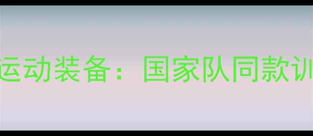 图片 尼塔库乒乓球服专业运动装备：国家队同款训练服测评与选购指南